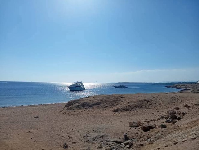 amazing 2 bedrooms for sale 