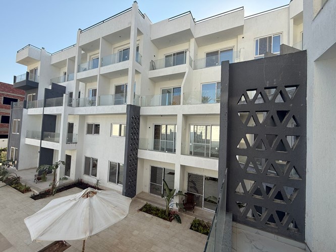 Amazing 1 bedroom apartment for rent 