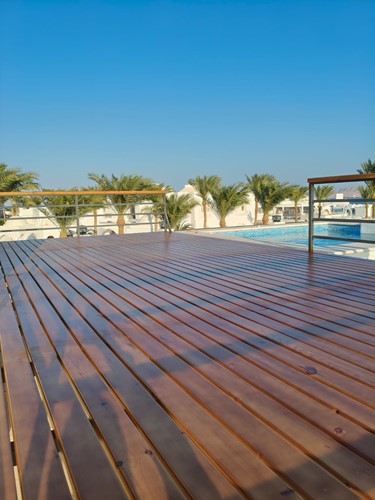 1 bedroom apartment with pool view